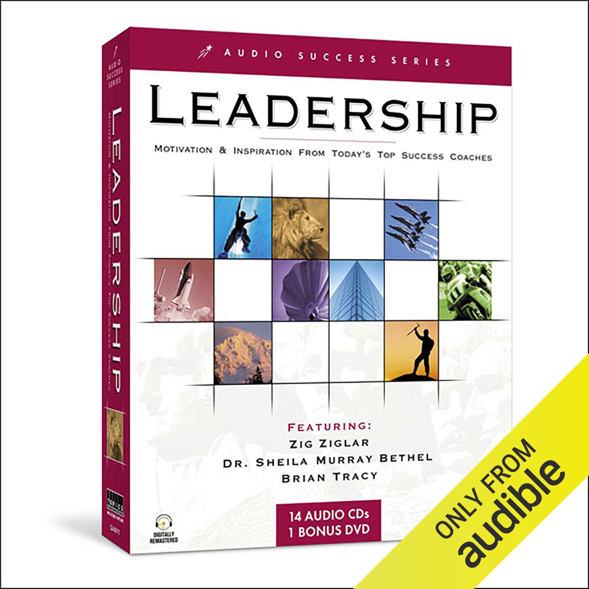 Cover art for Leadership Success