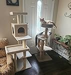 Review Image by Aaren M Moyer Aaren M Moyer