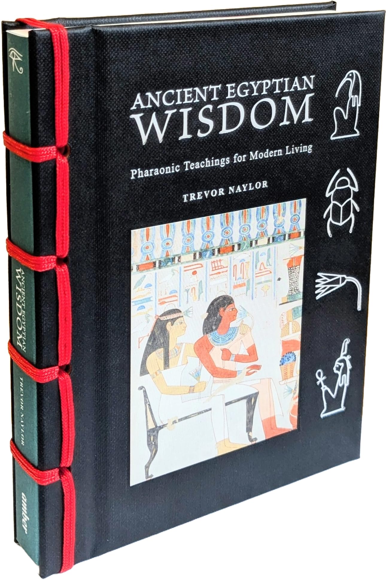 Ancient Egyptian Wisdom by Trevor Naylor (Hardback Book)