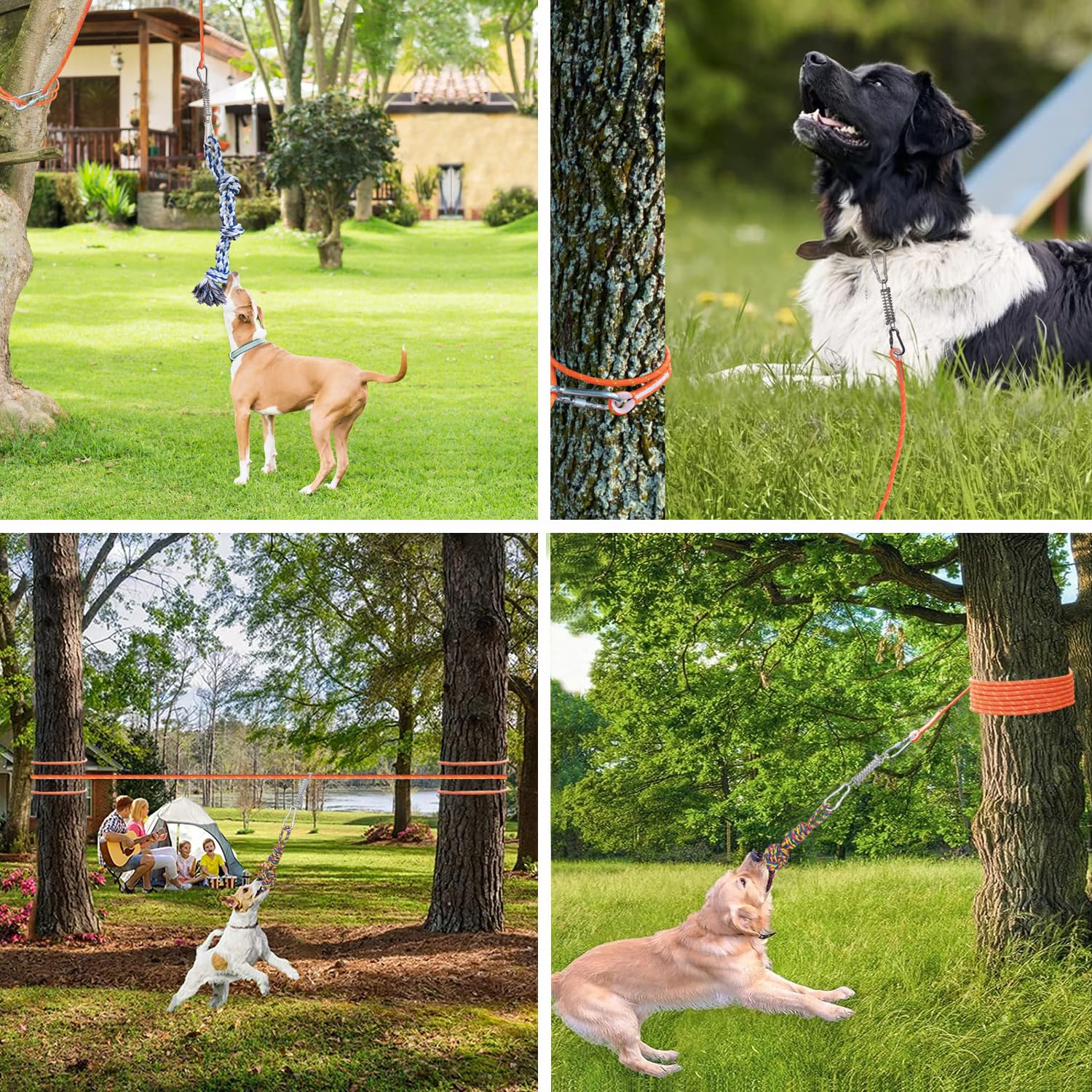 Dog Toys Aggressive Chewers Small Breed HOKINETY Dog Hanging Bungee Tug Toy  For Two Dogs: Interactive Tether Tug-of-War Dog Outdoor Toys