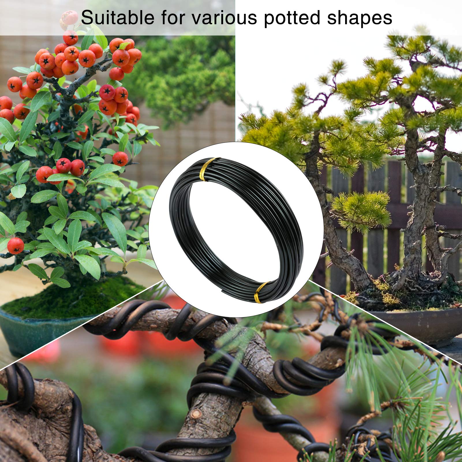 LEMESO 36 m Fili di Alluminio Modellabile, 3 Rotoli per Bonsai Alberi Giardino Giardinaggio Formare Modellare Filo Metallico Creazione Lavorazione Artigianale Fai da Te 1/1,5/2 mm