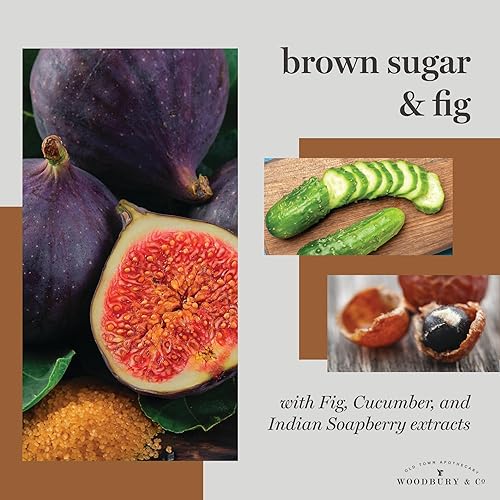 Miniatura 4 de WOODBURY & CO - Suministros de champú y acondicionador de hotel para invitados, artículos esenciales de Airbnb para anfitriones, juegos de mini