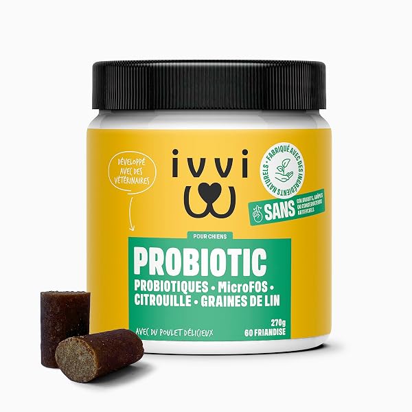 ivvi Probiotic pour Chien 60 Friandises