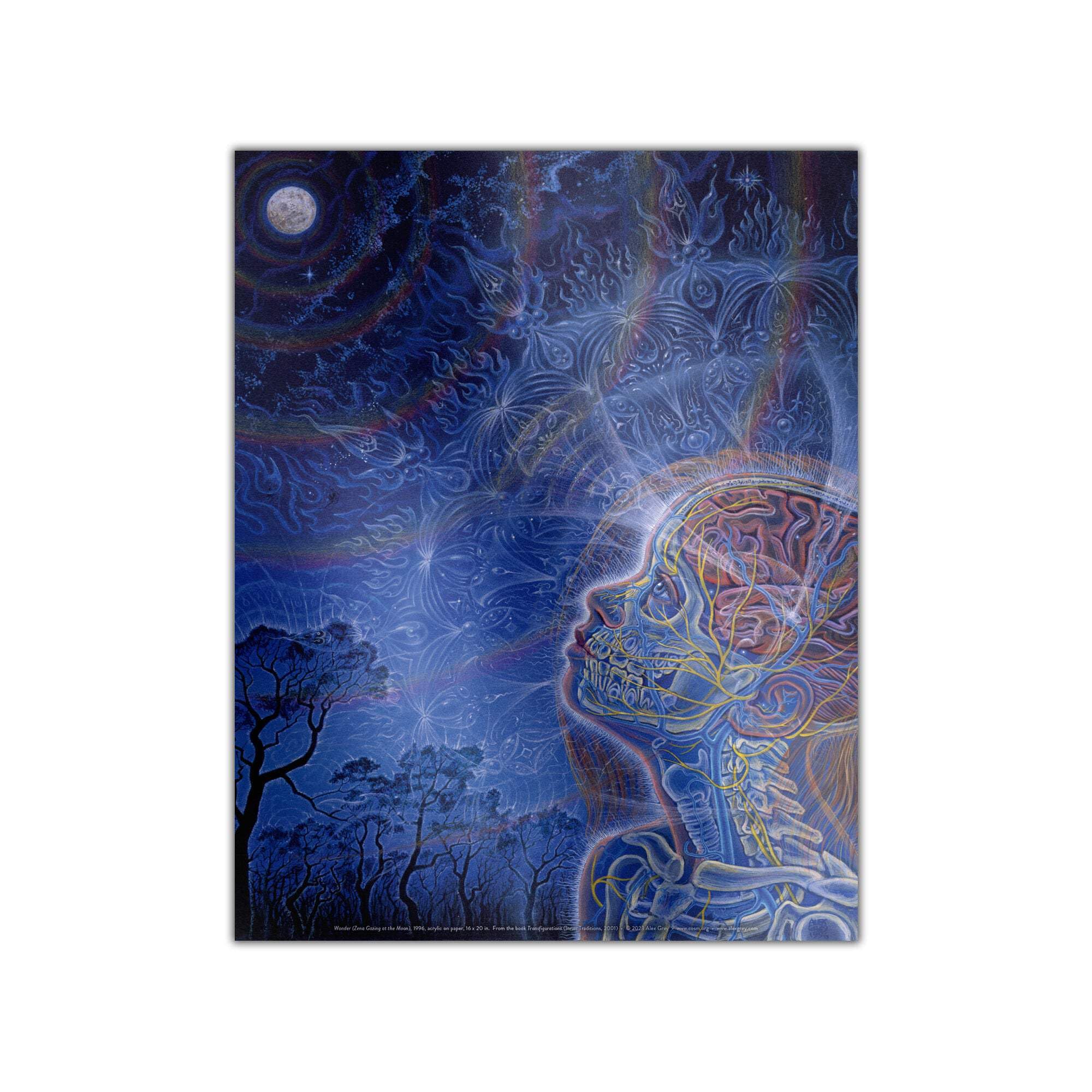 Alex Grey - Wonder - Poster