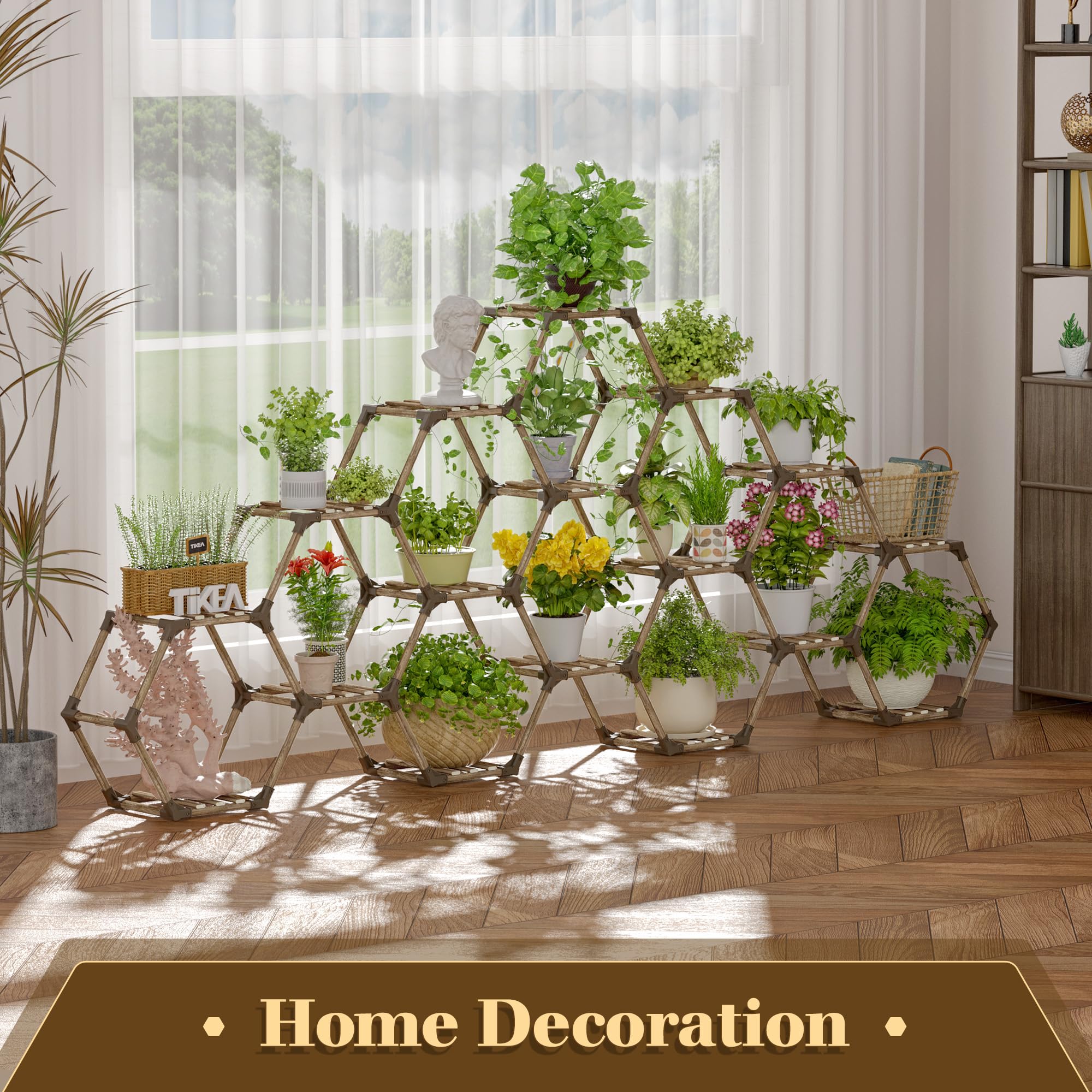 indoor plants that bring money and good luck Money Tree Plant - 5 Inch Pot