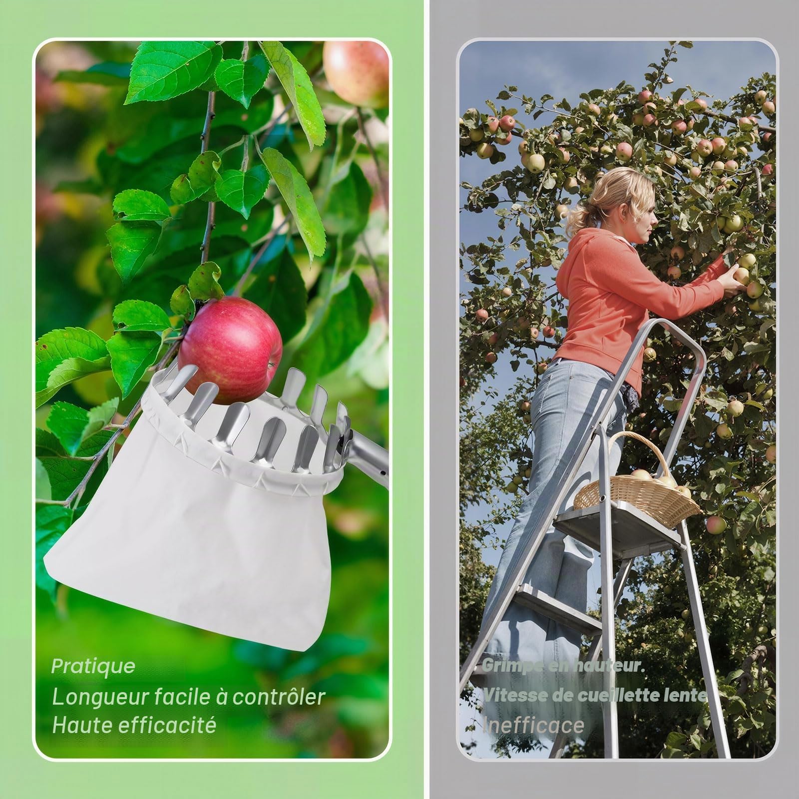 seOSTO Cueille Fruit Télescopique, 4,2M Cueilleur de Fruits Amovible, Ramasse Fruit avec Poteau Réglable Léger et Sac en Coton, Outil Cueillette Jardin Arbre Poires Pêches Ø 160mm