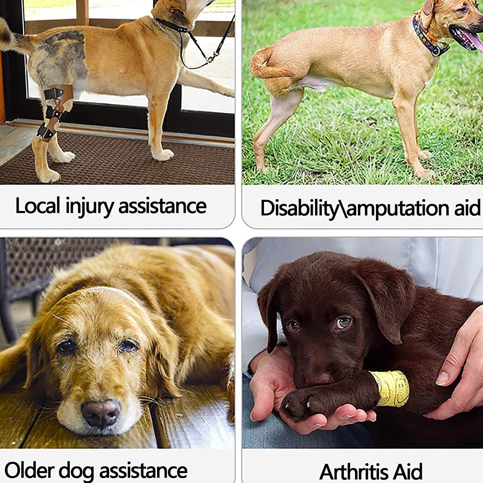 Arnés de elevación para perros, correa de soporte de cadera ajustable para ayuda a la movilidad, material de forro polar para piernas débiles y rehabilitación postoperatoria
