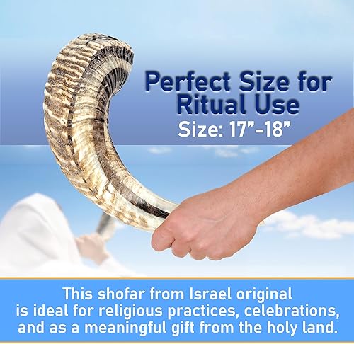 Miniatura 4 de Shofar de cuerno de carnero medio pulido | Auténtico shofar de cuerno de carnero | cuerno judío soplado | Cuerno Shofar de Israel original | Chofar
