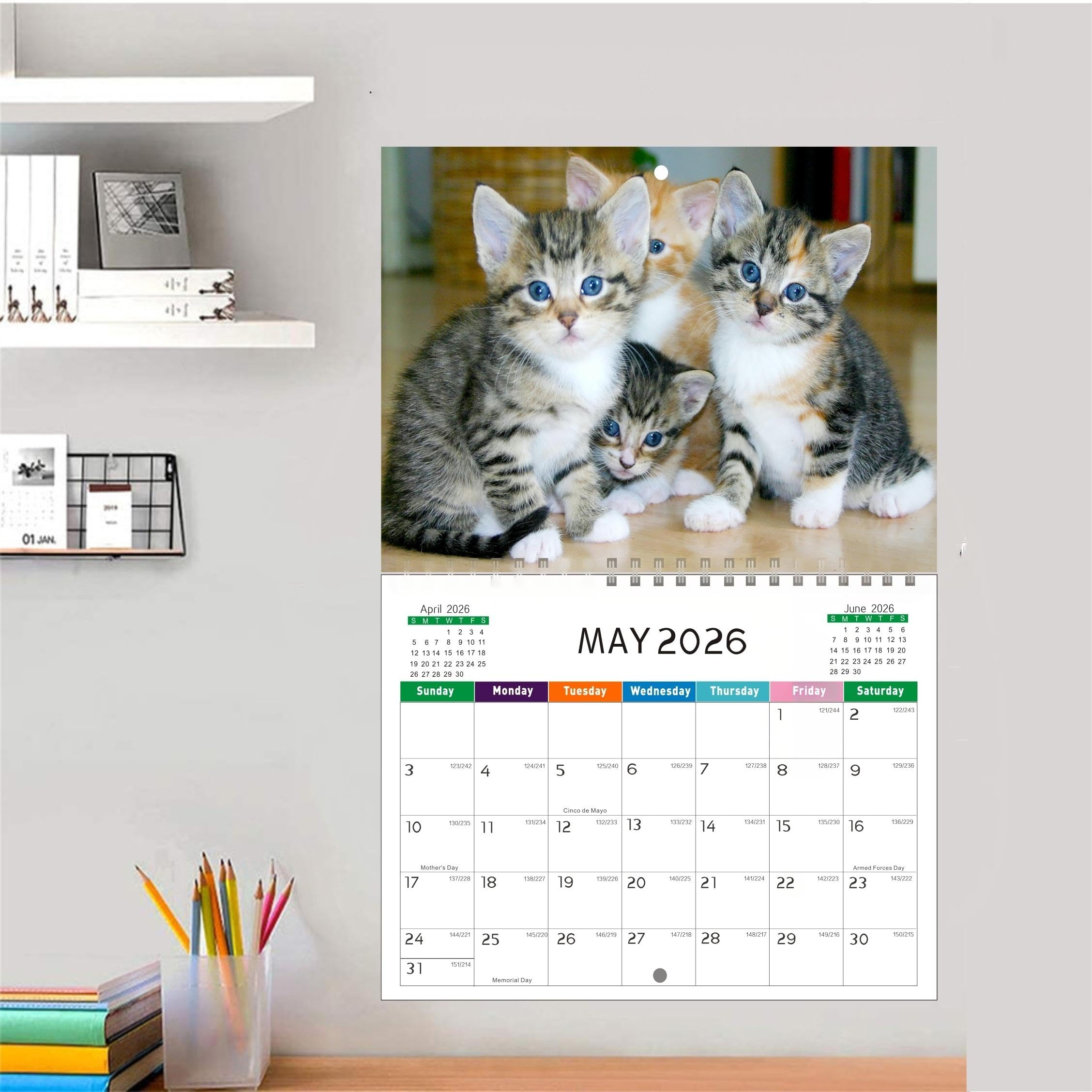 Snapklik.com : 2026 Calendar, Fluffy Kittens 2026 Wall Calendar 12 ...