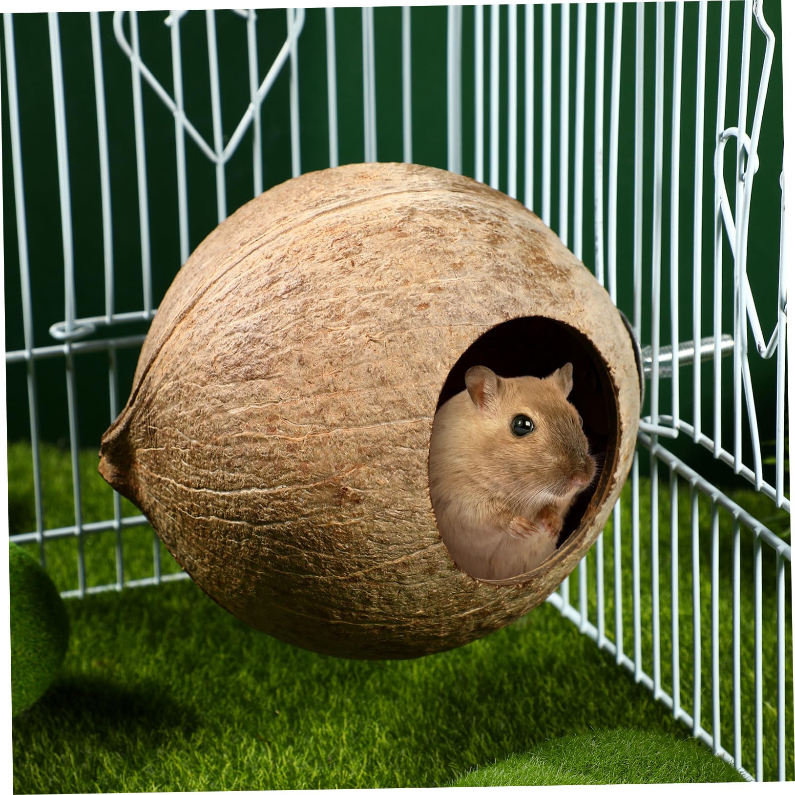 balacoo Vogelhaus aus Kokosnussschalen, natürliche Kokosnuss-Schale, Vogelkäfig für Wellensittiche, Papageien, Haustiere