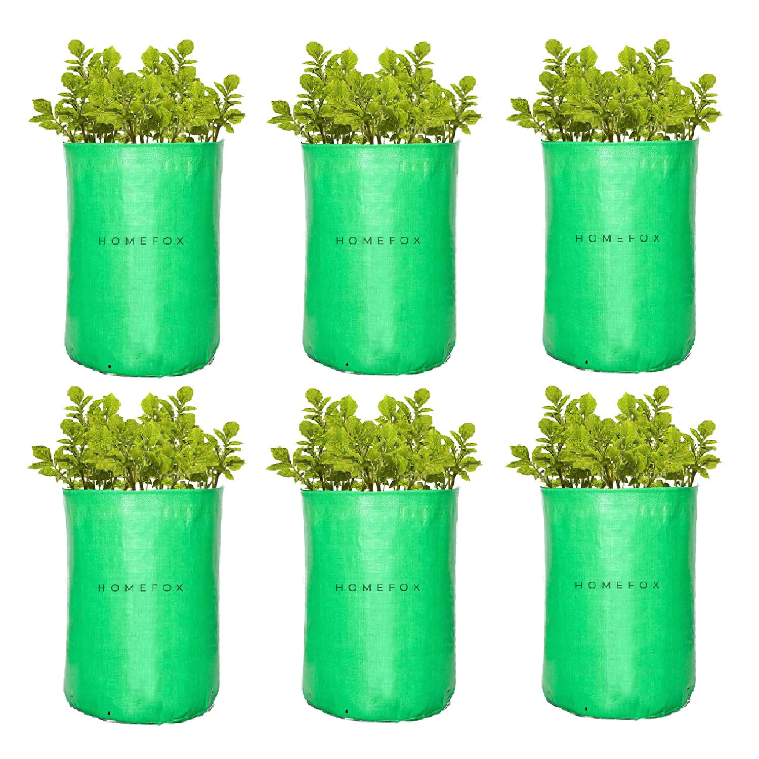 Homefox Plant Grow Bags 12x12 inch, 240 GSM Strong Terrace Gardening Vegetable Planting Pots, Plant Bags for Home Garden (GRB18X18P6) (B0BMGF5WMN) Amazon Price History, Amazon Price Tracker