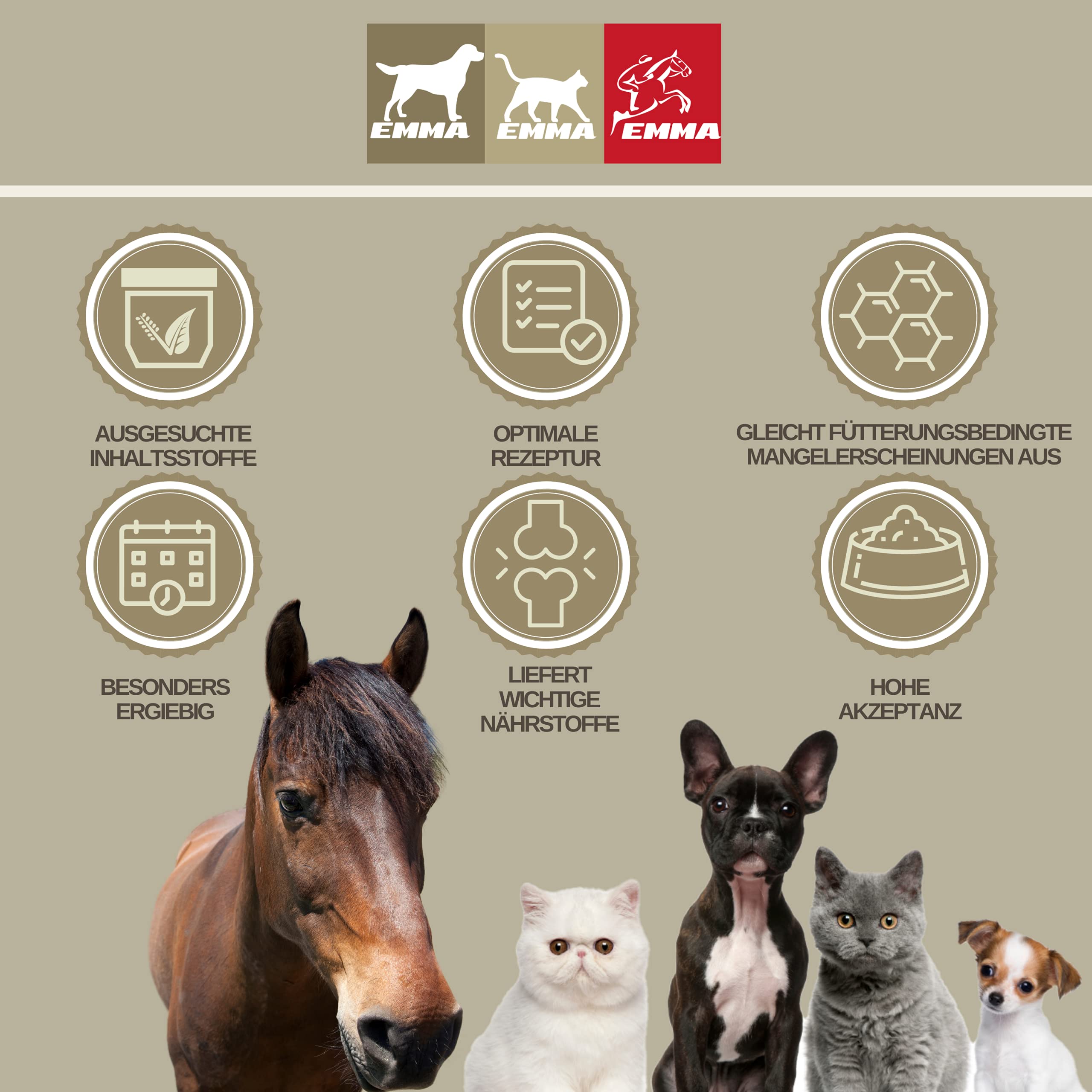 EMMA® horse balm cooling I cooling ointment for horses I horse balm for