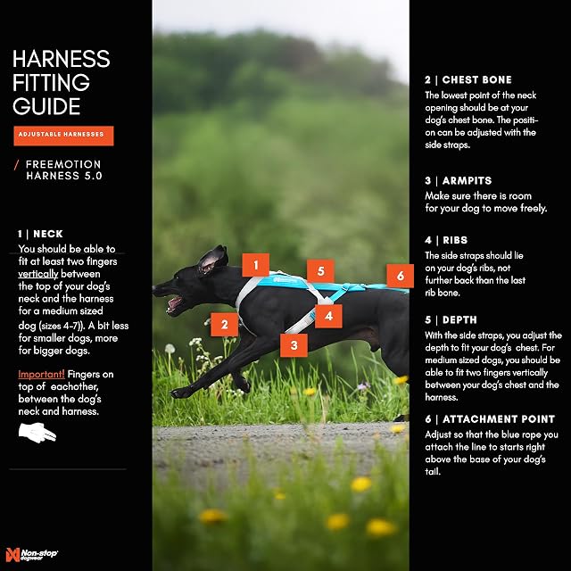 Foto 4 de 8 de Non-Stop dogwear Freemotion - Arnés 5.0 para Perros para Deportes como Correr, Ciclismo y esquí con Perros…