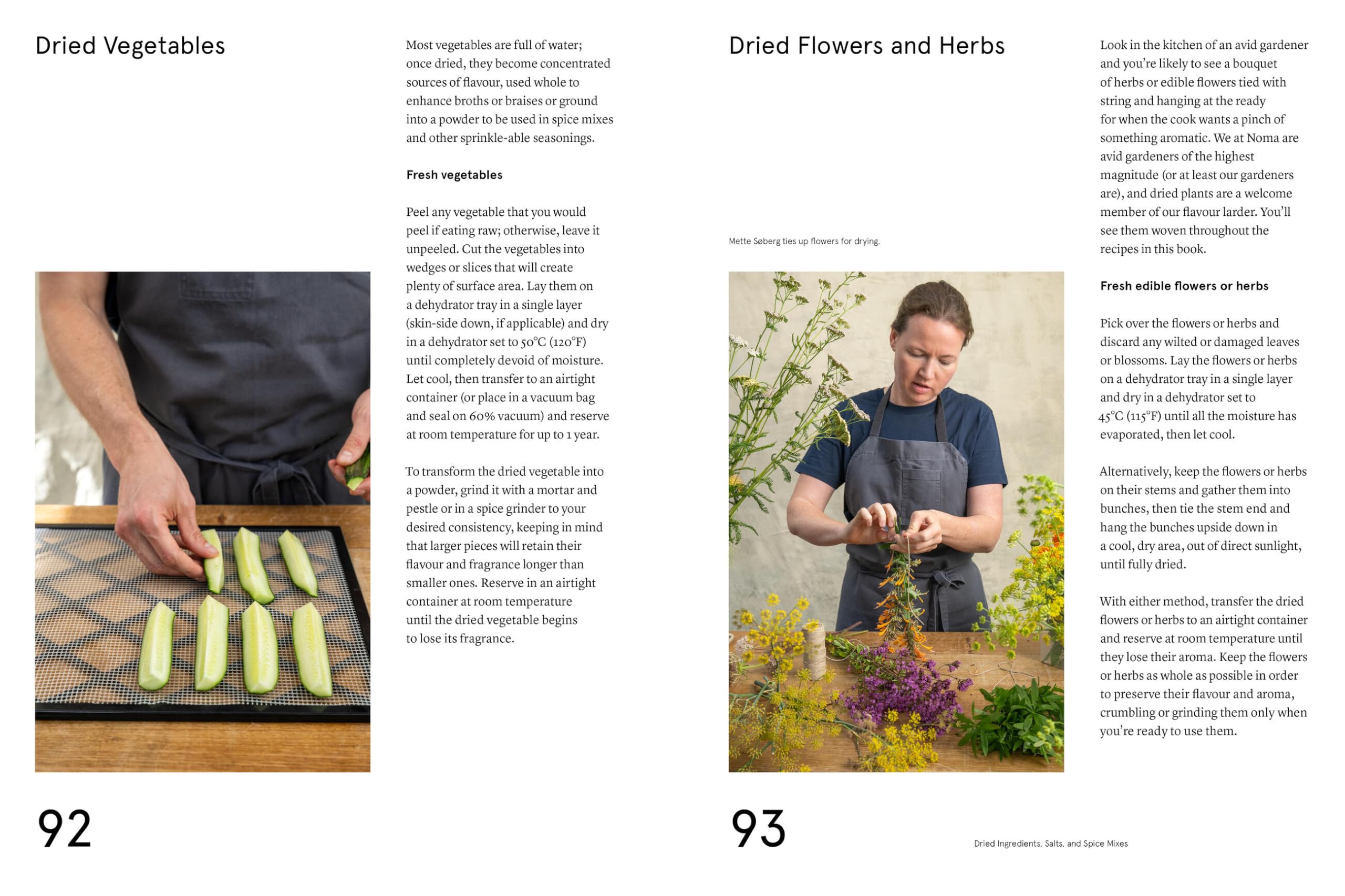 The Noma Guide to Building Flavour: Including recipes and techniques for sauces, butters, broths, reductions, preserves, vinaigrettes, flavoured salts, and infused oils (Foundations of Flavor)