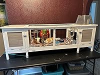 Review Image by Marianne Beckman