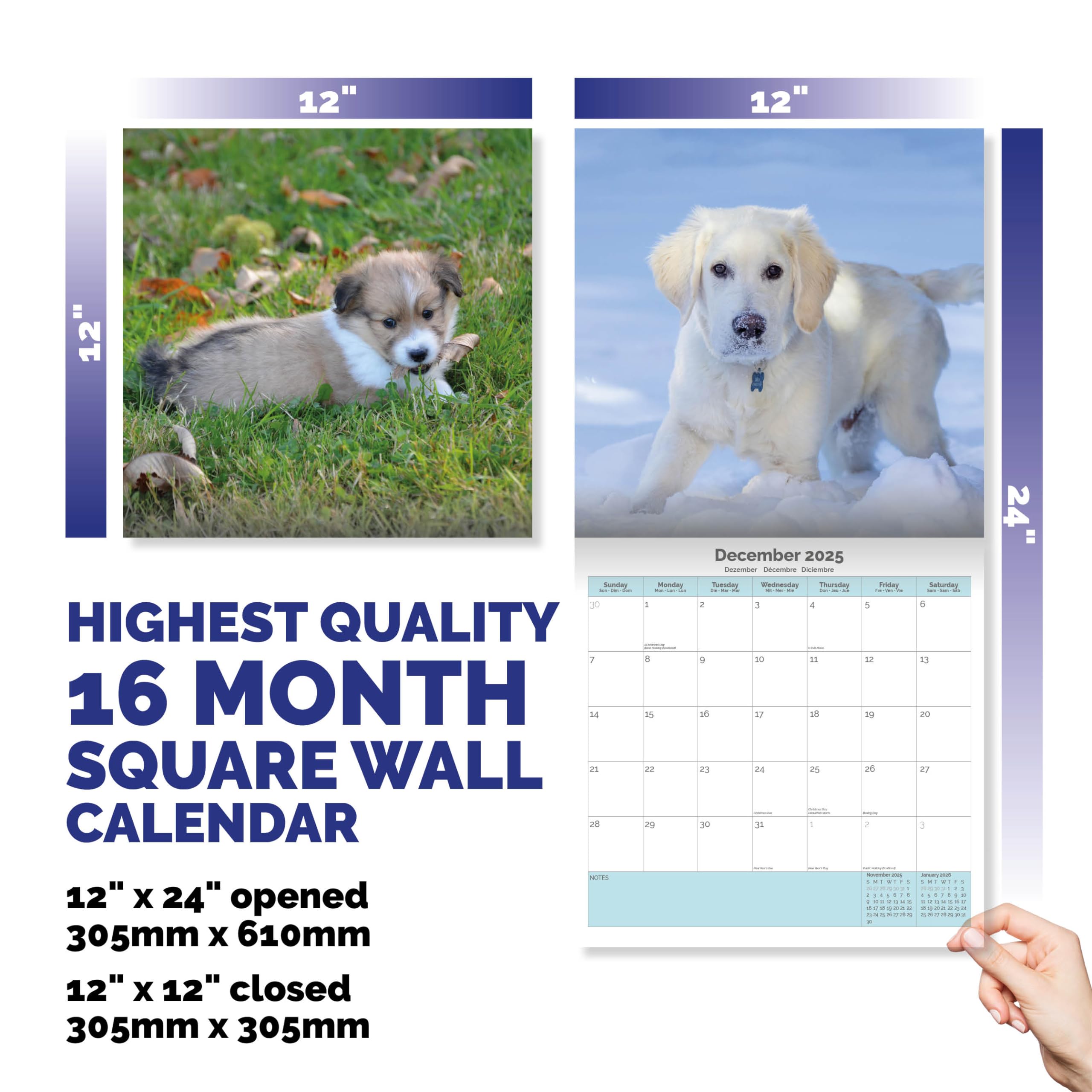 Baker and Bray Puppies Calendar 2026, Large Square Wall Calendar With Organisational Stickers, 16 Month, Puppies Gift Dog Calendar - Image 4
