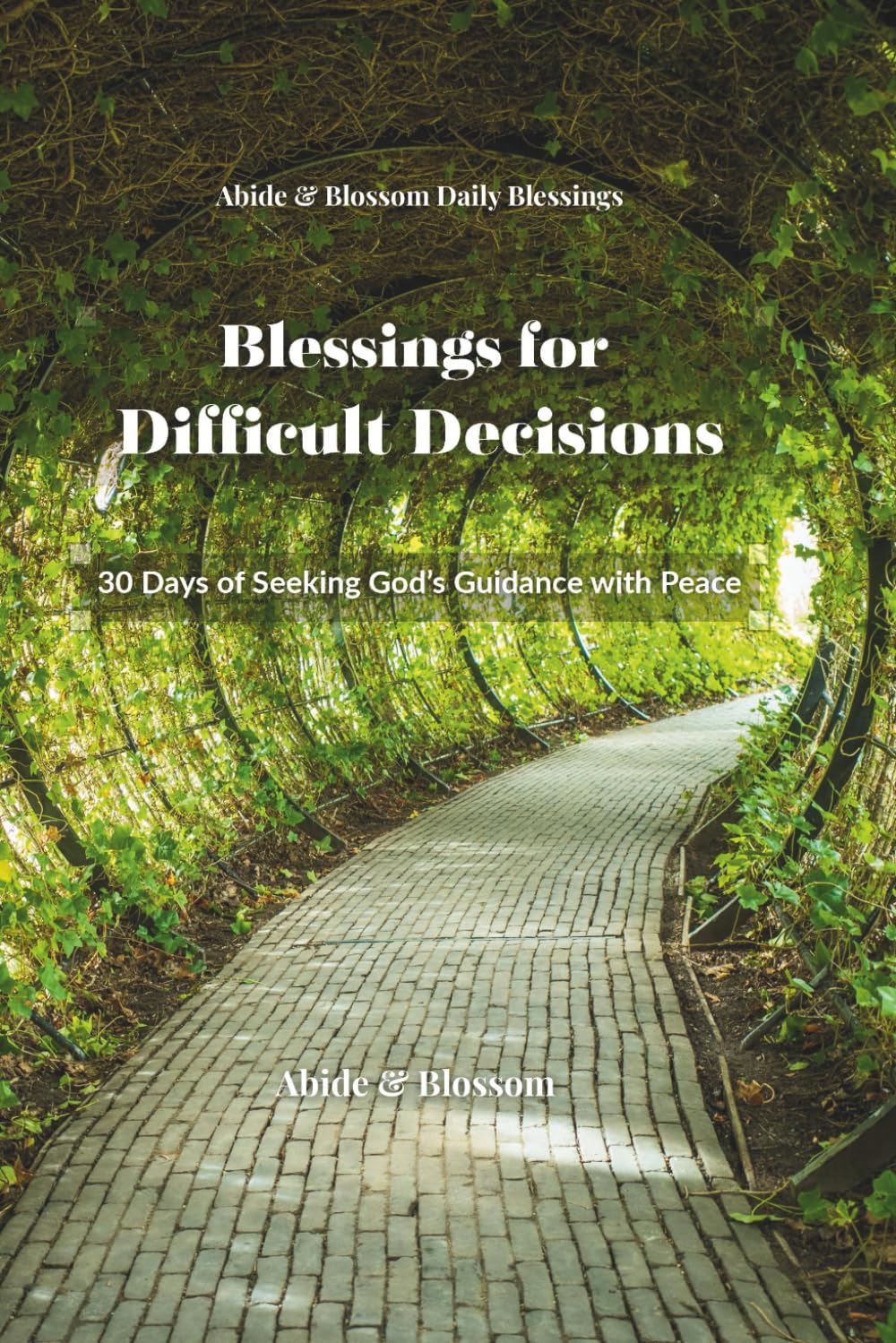 Blessings for Difficult Decisions: 30 Days of Seeking God's Guidance with Peace (Abide & Blossom Daily Blessings)