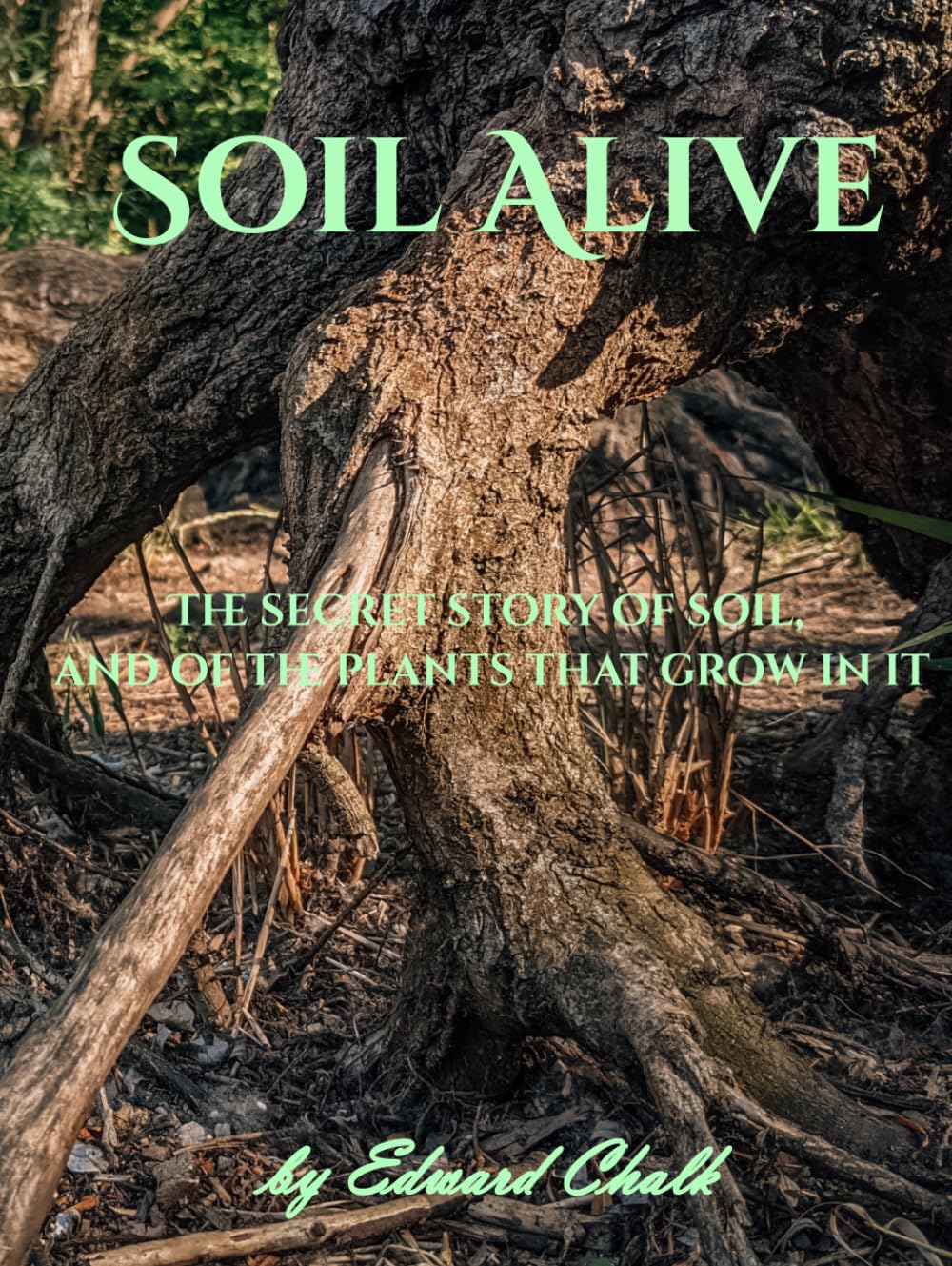 Soil Alive: The secret story of soil, and of the plants that grow in it