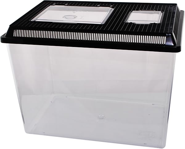 Neu PET-Plaza Kunststoffbox - Faunarium - Kunststoffterrarium - Faunabox - Insektenbox - Insektenterrarium - Box für Futterinsekten (37 x 22 x 25,5cm) - 3