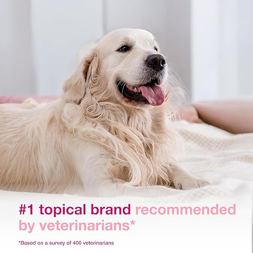 Miniatura 3 de Douxo S3 Calm Mousse, Contiene 0.75% Ophytrium, Calmante, Para Piel Con Picazón, Irritación o Alergia, Para Perros y Gatos, 5.1 fl. oz. (150mL)