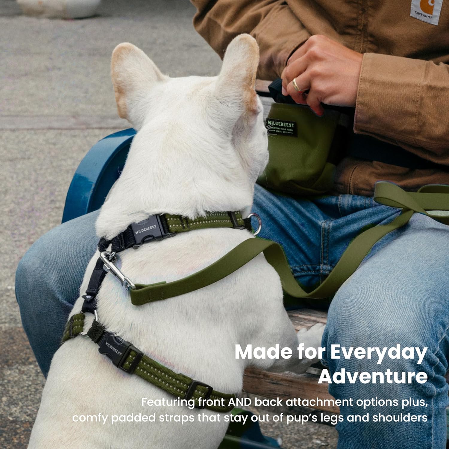 Wildebeest Valencia No Pull Dog Harness | Front and Back Leash Clips | Soft Padded Straps | Lightweight, Adjustable, Easy On/Off for Training and Dog Walking | Large Olive