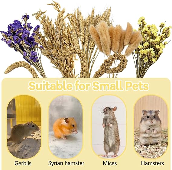 Natural Hamster Flower & Herb Habitat Deocr, Edible Hamster Sprays Flowers Bedding Mate, Hamsters Cage Enrichment Decoration Accessories for Gerbil Dwarf Syrian Hamsters Guinea Pig Mice