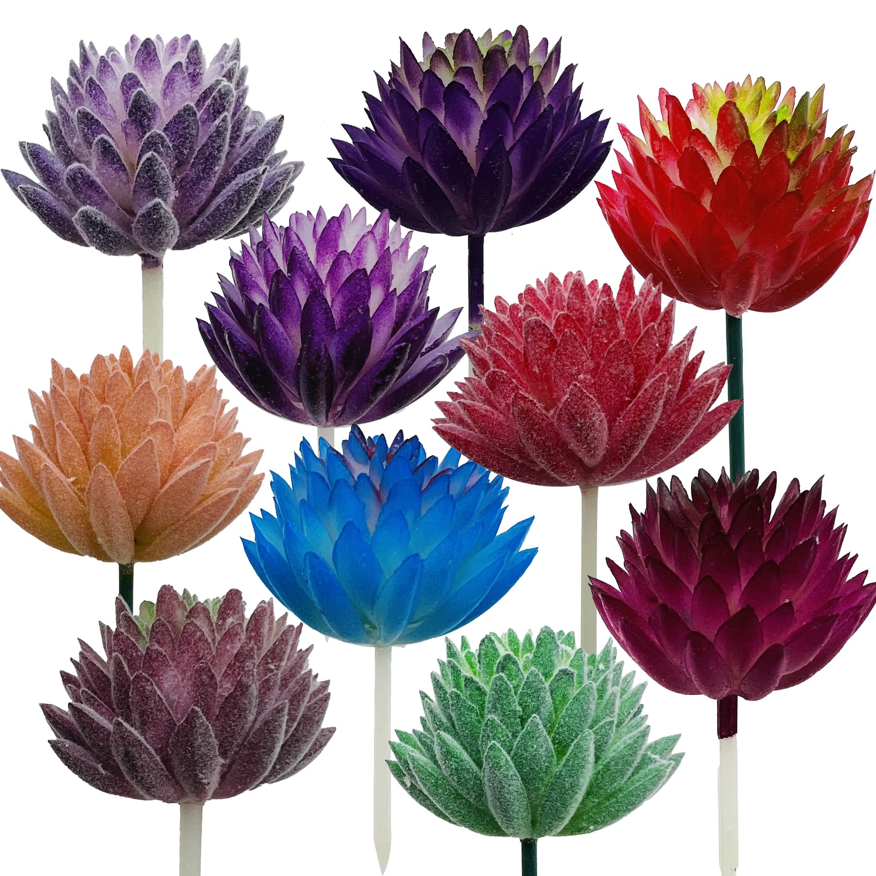 2 Plantas Suculentas Artificiales ODIYEN - Decoración Pequeñas, Plástico PE, Sin Mantenimiento, Para Interiores