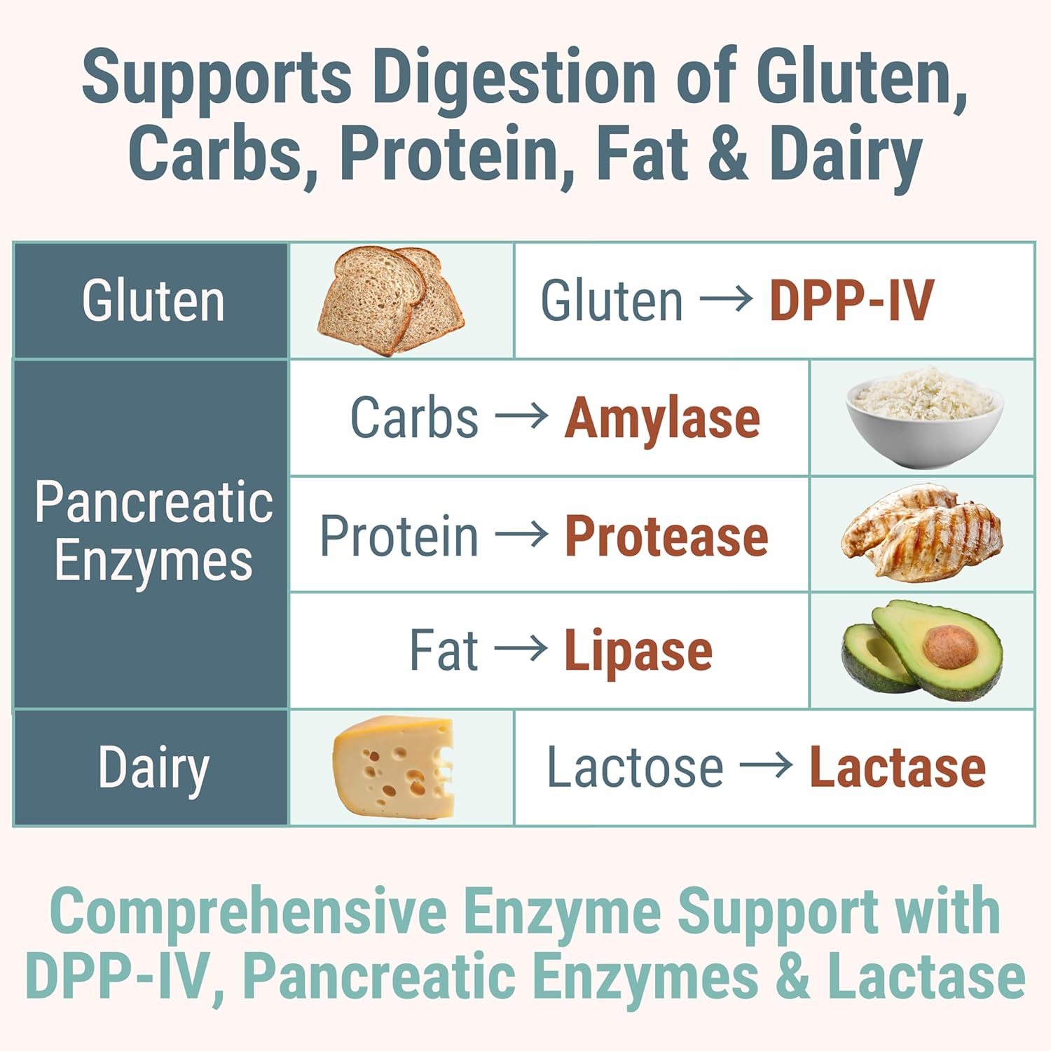 Gluten & Lactase Digestive Enzyme Gummies – Lactase Pancreatic Enzymes with DPP‑IV Lipase Gluco‑Amylase Lactase, Drops Chewables Capsules Pills Powder Supplement Alt, Pancreatic Support, for Kids - Image 6