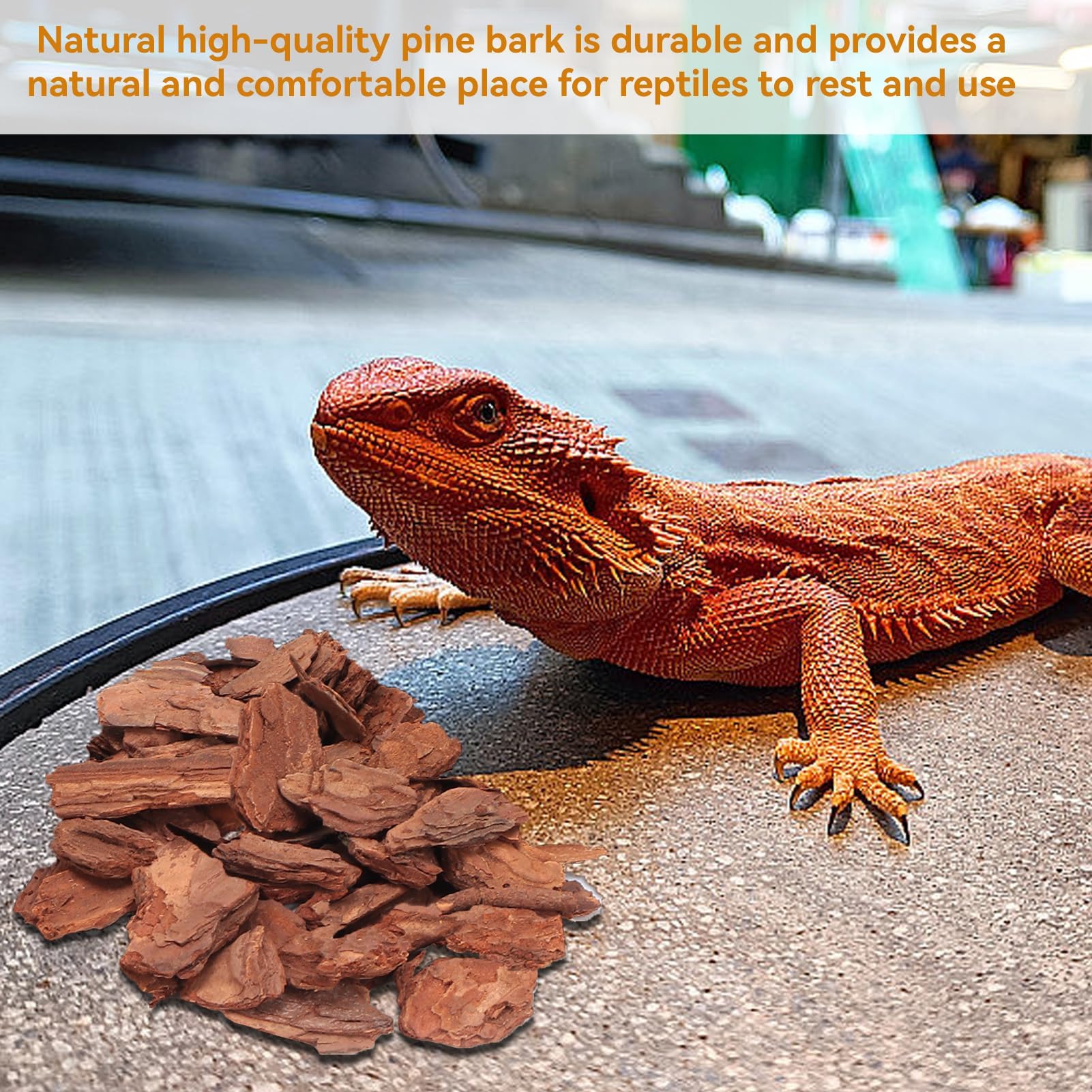 HERCHR Litière d'écorce de Reptile, litière en granulés d'écorce de pin substrat réutilisable en granulés de Bois pour Tortues élevage Propre pour Tortues lézards Geckos caméléons (S)
