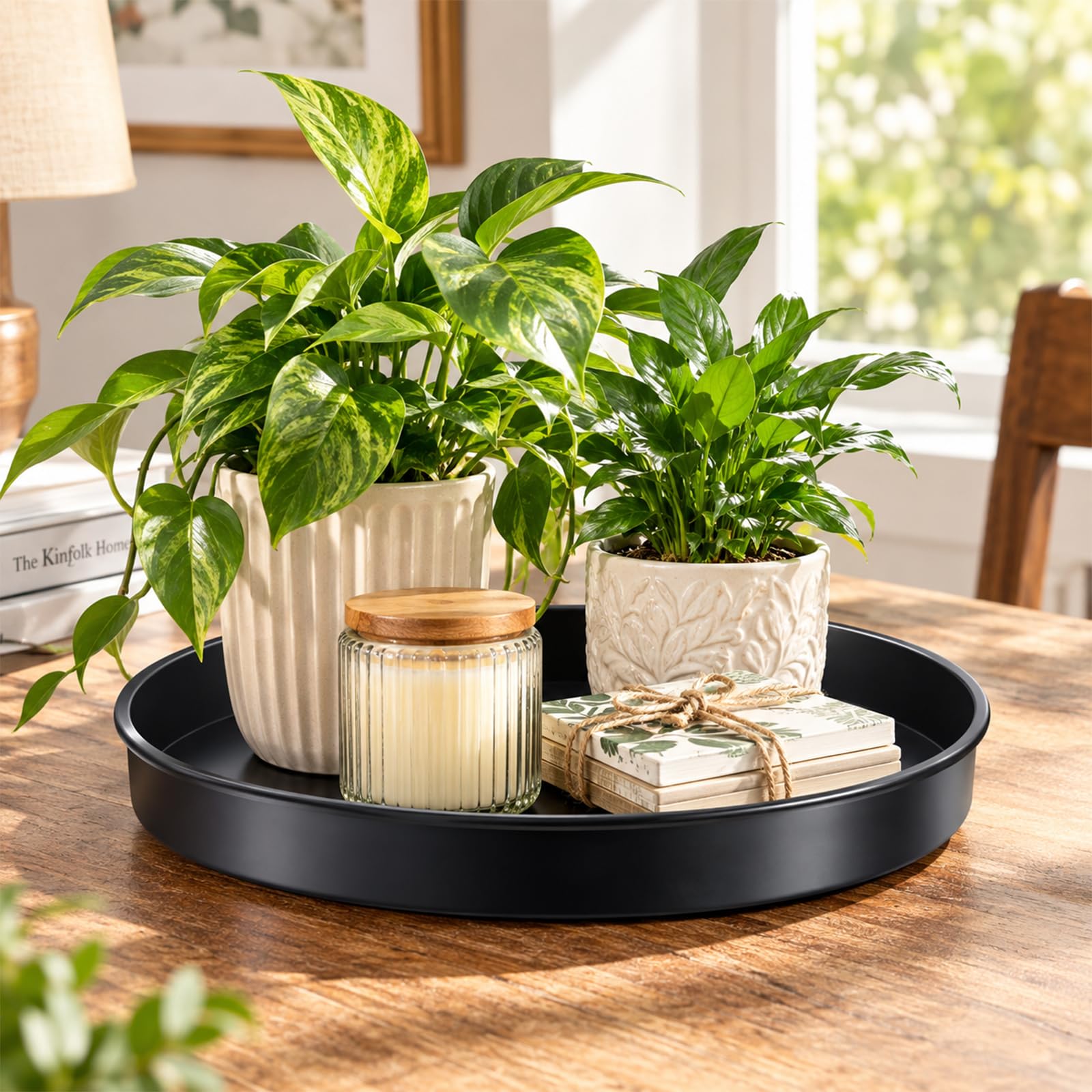 Rotating Plant Saucers - Black Metal -2