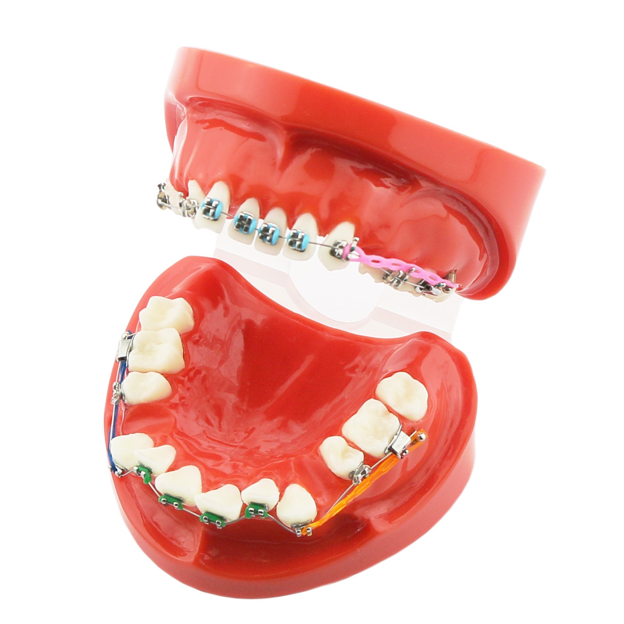 ●購入額25万円● 即購入OK匿名　歯科指導用練習用　歯科器具　床矯正装置 ○購入額25万円○ 即購入OK匿名歯科指導用練習用歯科器具床矯正装置