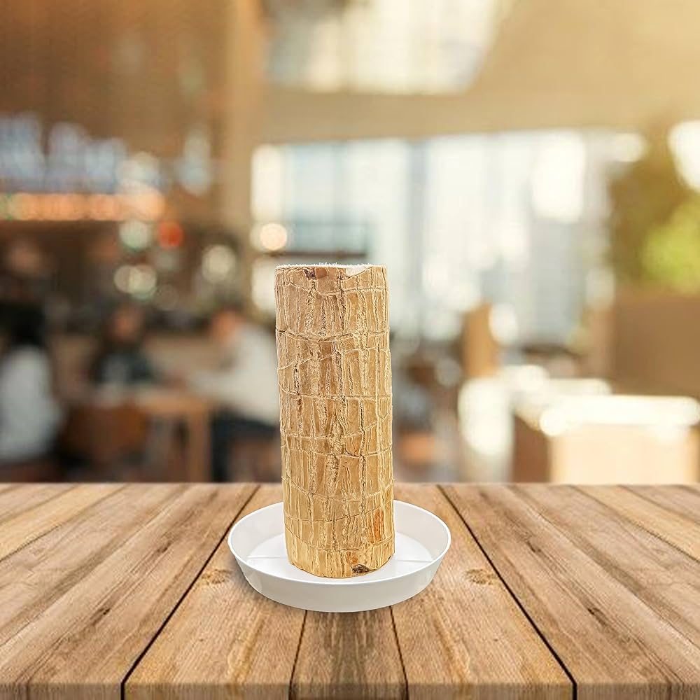 81GJ1rfVutL._AC_UF1000,