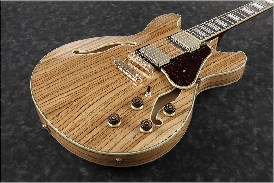 Amazon.com: Ibanez Artcore Expressionist AS93ZW - Natural