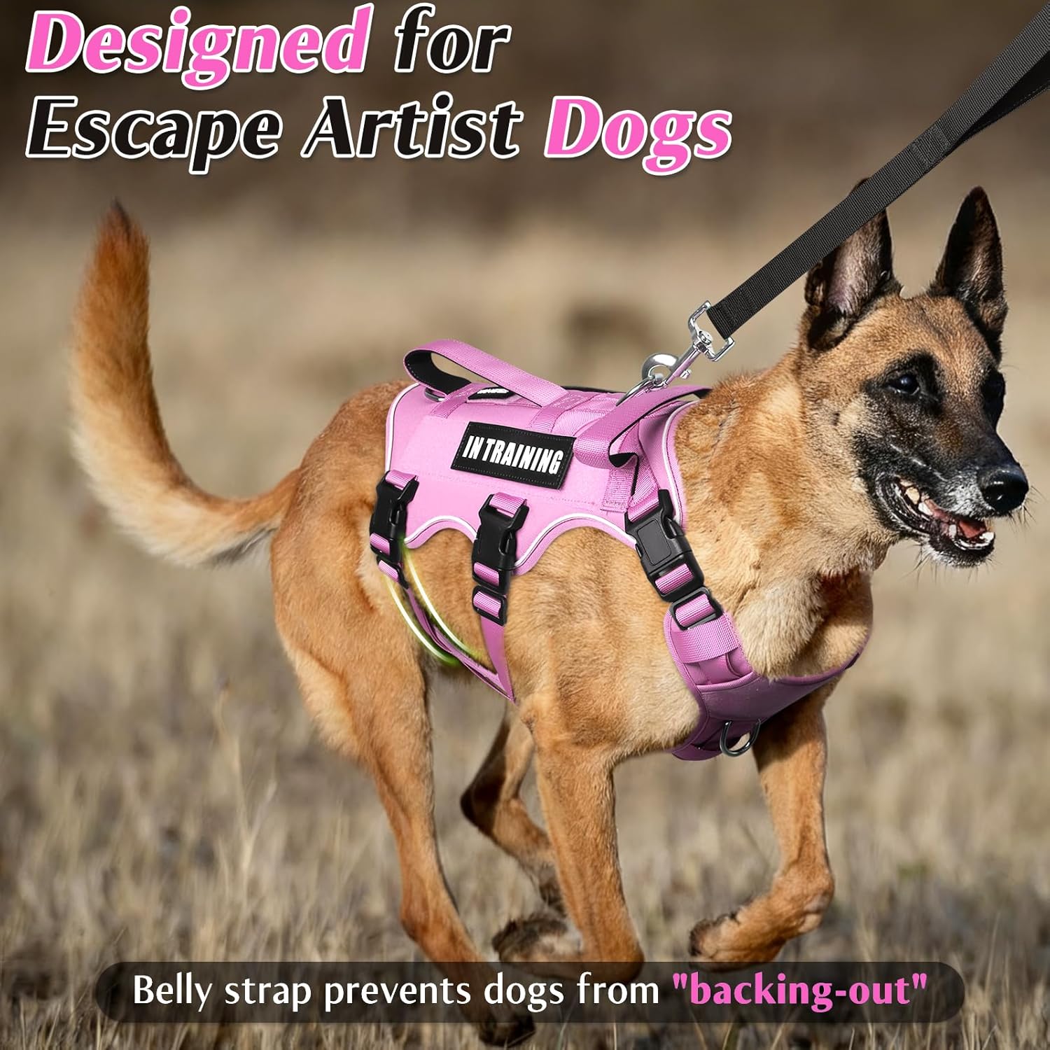 WINSEE Escape Proof Dog Harness, Service Working Molle Harness with Double Handle, Tactical Pet Vest with 4 Patches for Small Medium Large Dogs Walking Hiking Hunting