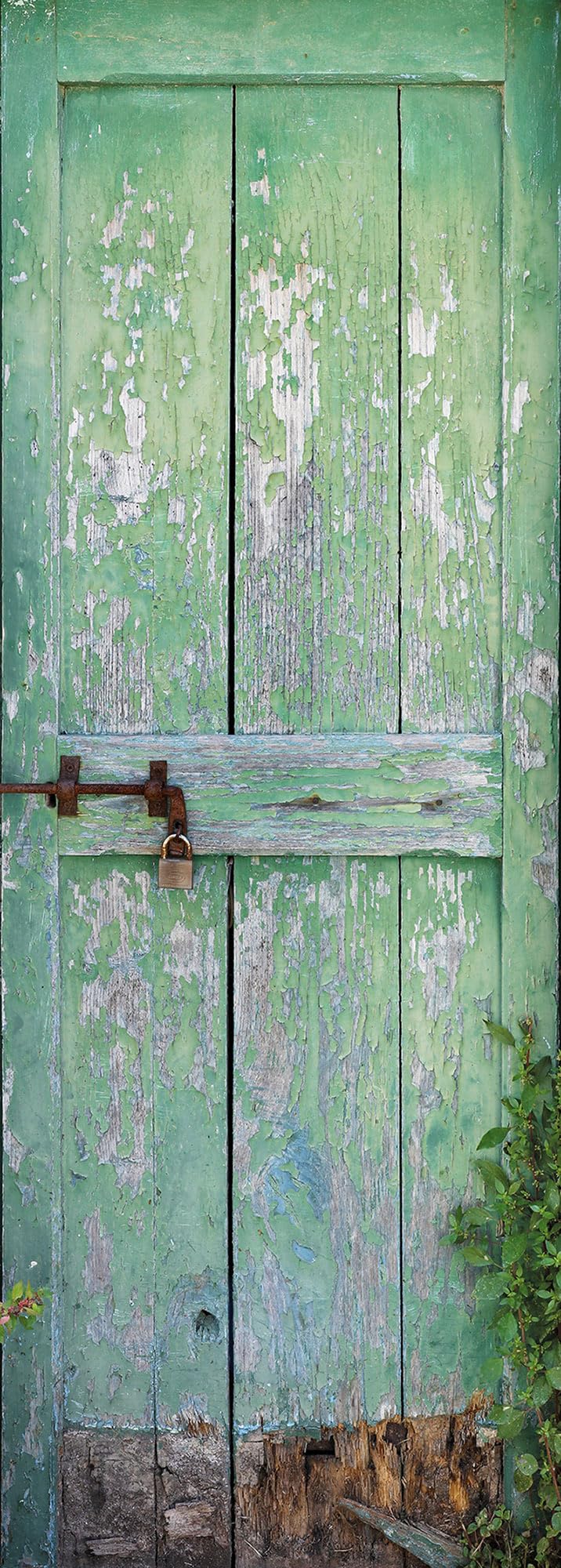 Komar 156-DV1 Photomural, Colourful - Image 2