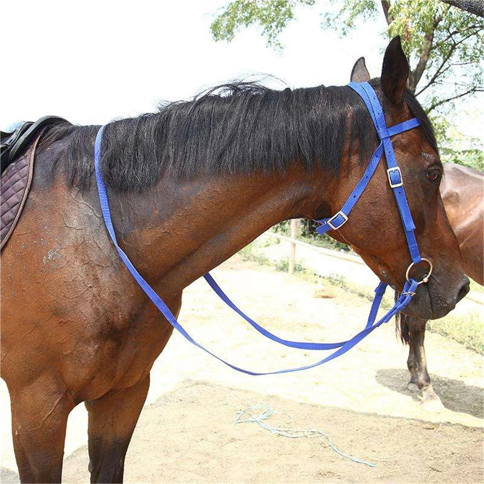 Riendas de brida ecuestre de PVC for establos de carreras de caballos(Color1)