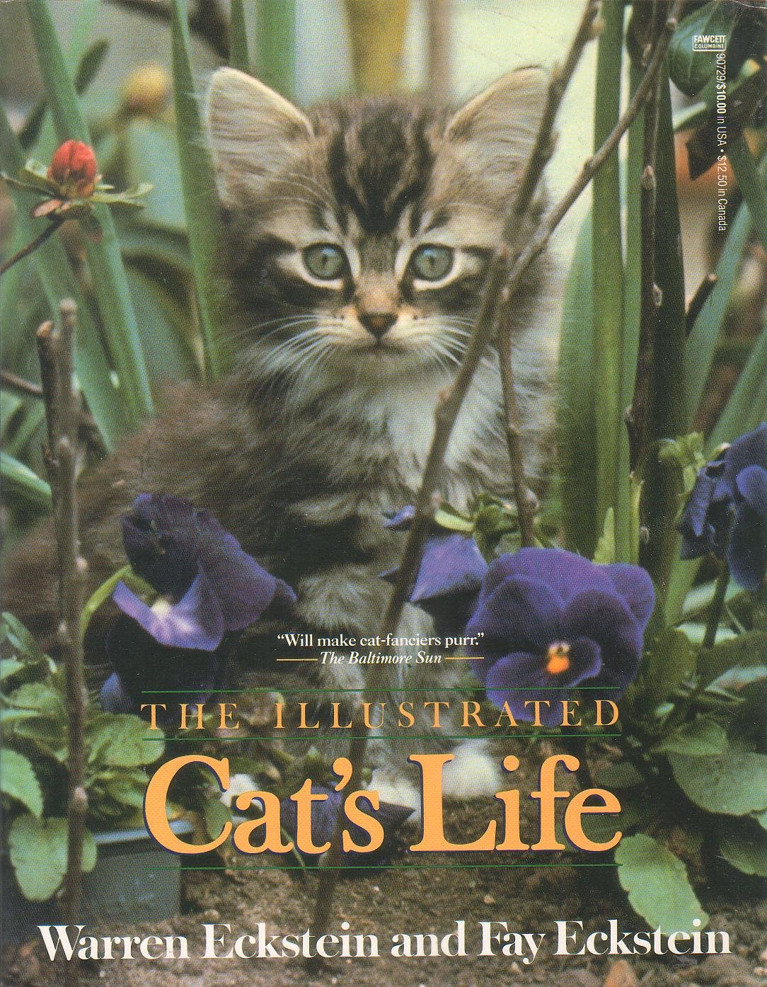 Illustrated Cat's Life