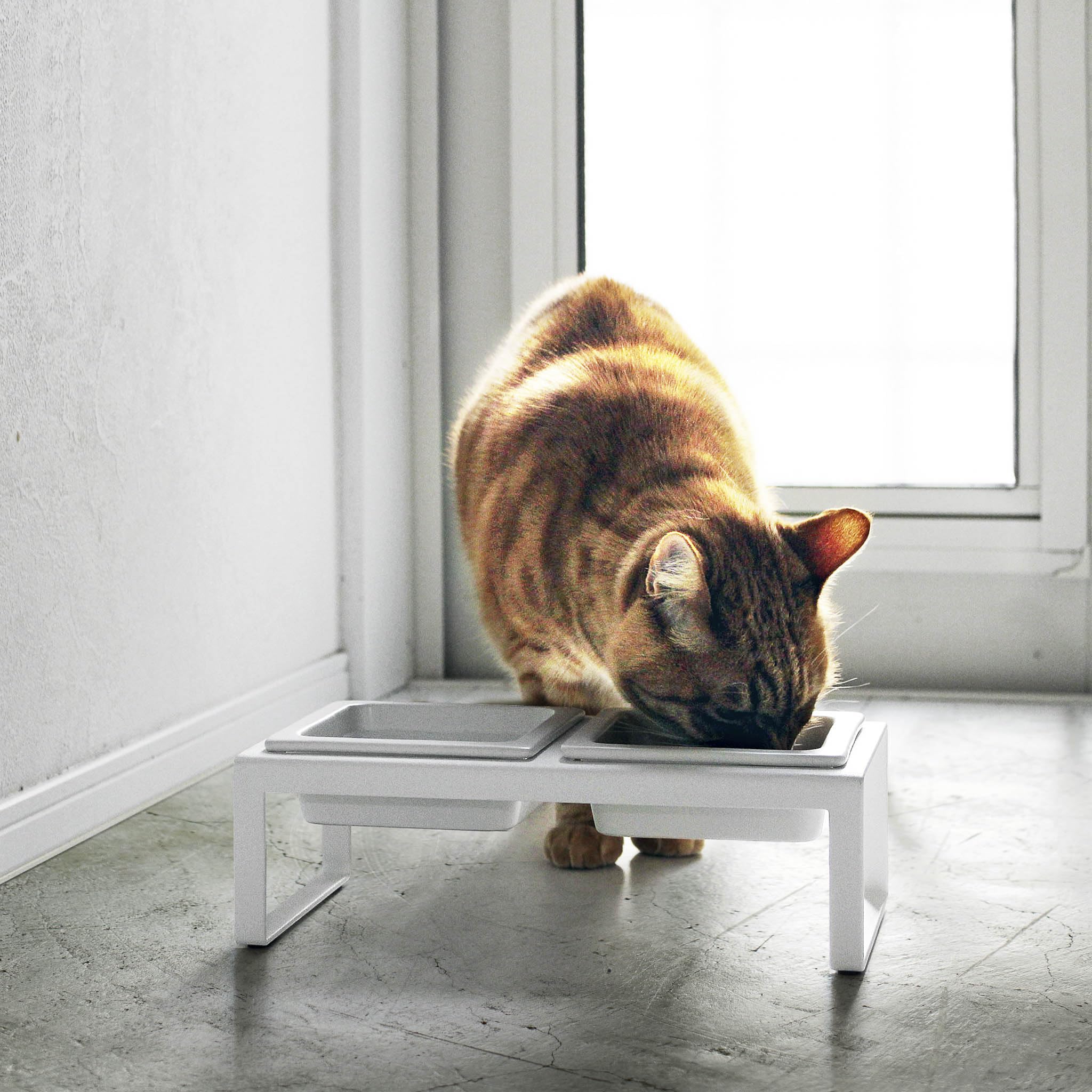Yamazaki 4744 TOWER Set di supporti per ciotole per alimenti per animali domestici, bianco, Acciaio/Ceramica, minimalista, 29 x 15.5 x 10 cm