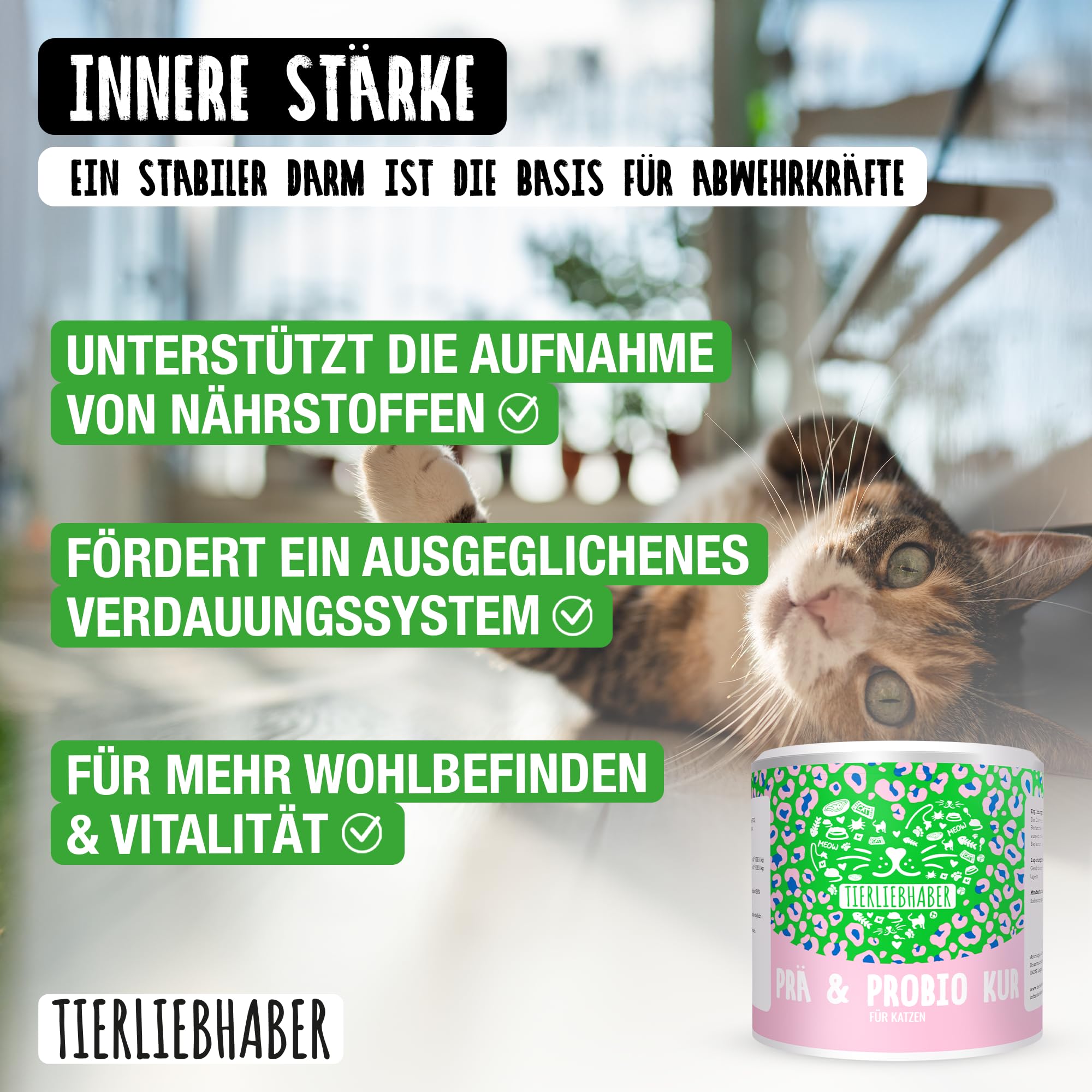 TIERLIEBHABER – Prä- & Probio Darmkur für Katzen – Probiotika für Katzen – Mit Tierärzten entwickelt – Probiotika Katze für eine Normale Magen-Darm-Funktion – Mit Flohsamen, Bierhefe & Inulin (75g)