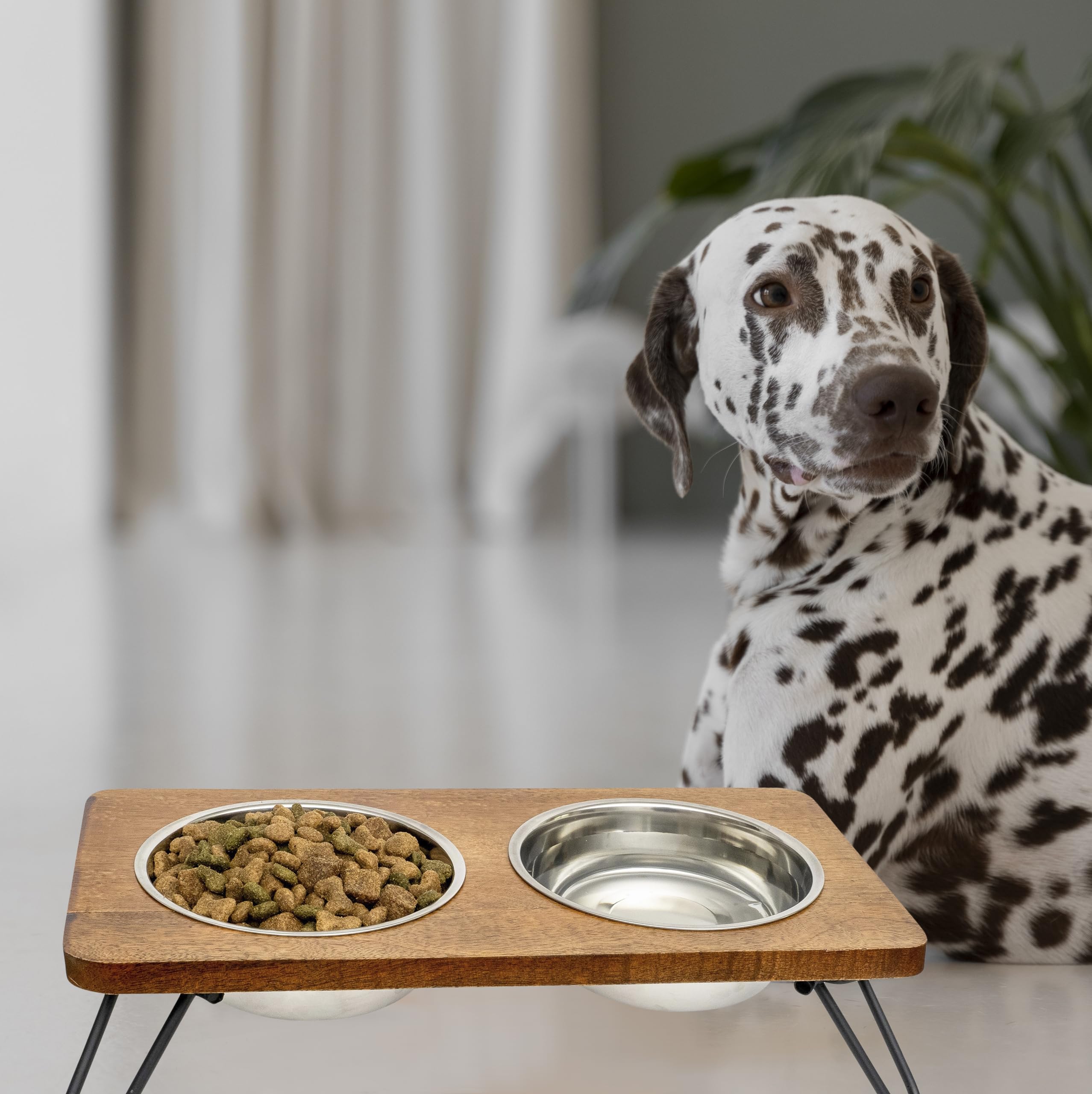 Fuzzl Gamelle surélevée pour chien avec support en bois dur élégant – Acier inoxydable ultra propre – Bol surélevé pour une meilleure posture et digestion – Gamelle d'eau polyvalente pour chien pour