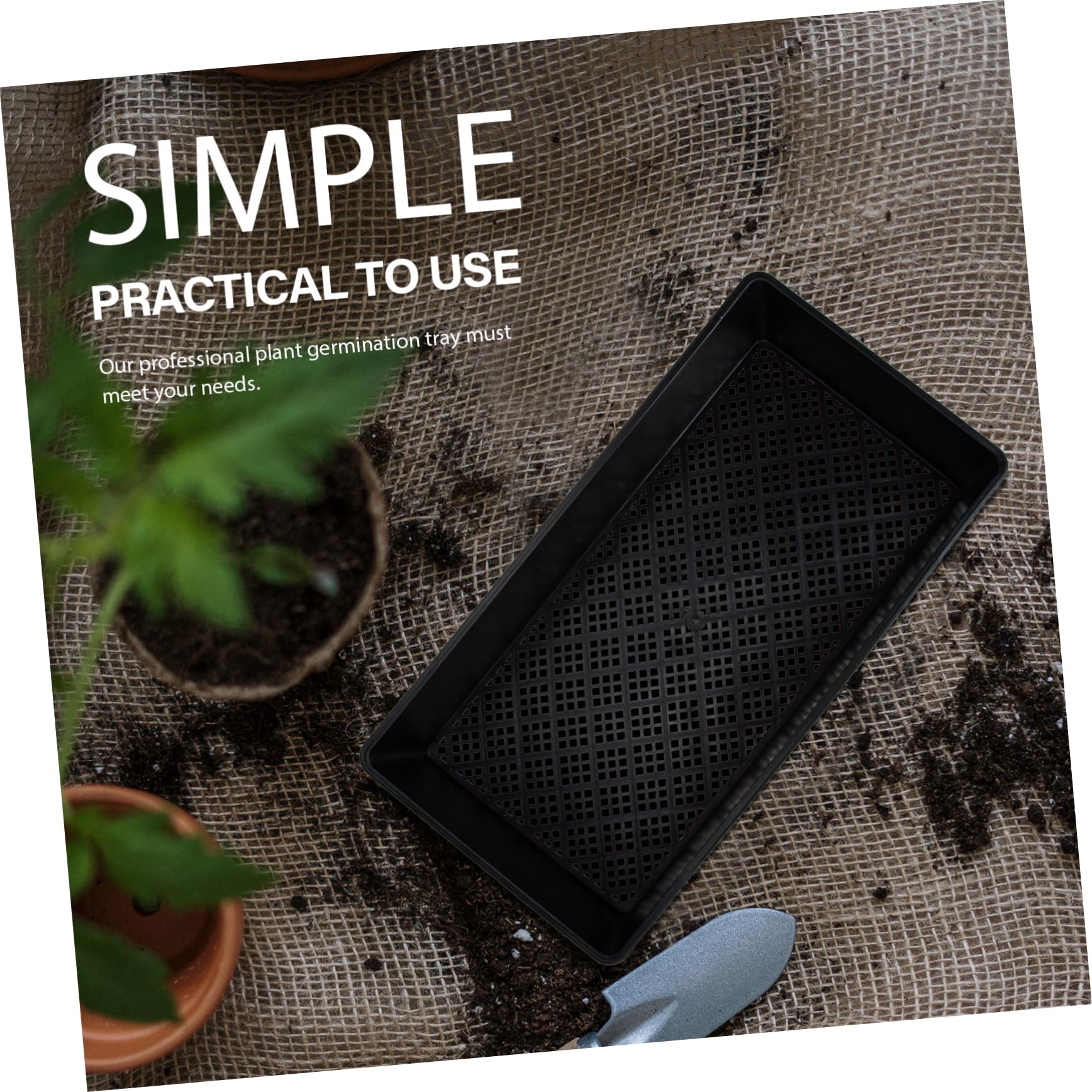 INOOMP 6pièces Lot de Plateaux De Culture pour Et Germination pour Plantes Haricots Mungo Arachides Et Haricots Noirs