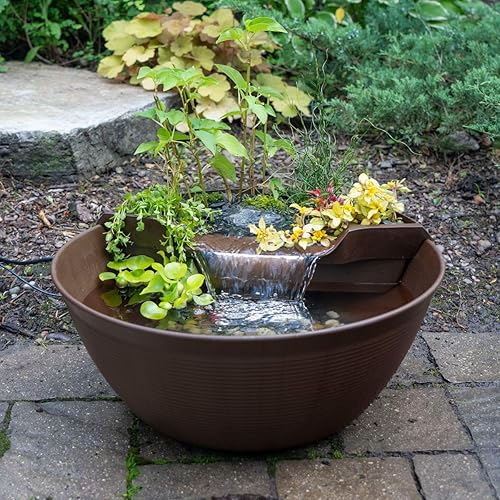 Miniatura 2 de Aquascape Kit de estanque AquaGarden y tratamiento de agua desintoxicante de cascada Marrón,Gris Acero,https://www.amazon.com/dp/undefined