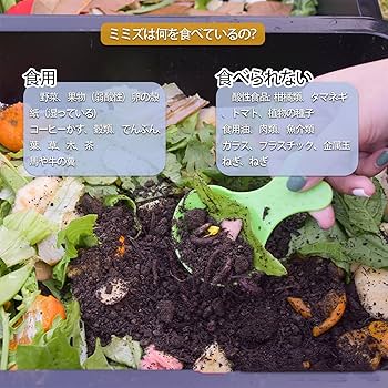 シマミミズ 2000匹　生ゴミ処理、肥料、その他 家庭用生ごみ処理容器（ミミズコンポスト） 金子みみずちゃんの