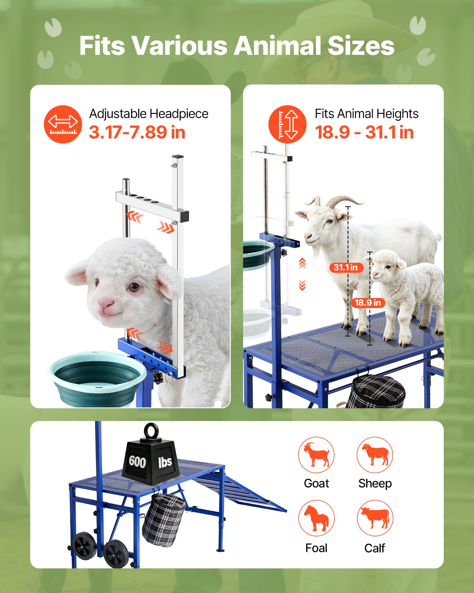 VEVOR Supporto per Mungitura Capre, Piattaforma Metallica Pieghevole con Rampa, Contenitore per Mangime e Ruote, Testiera e Cesto Regolabili Cavalletto, per Toelettatura e Cura Zoccoli Bestiame Ovino