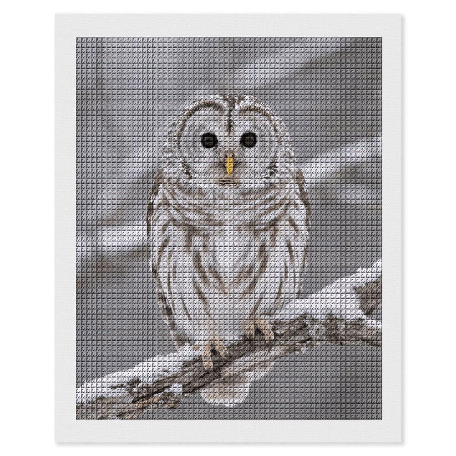 FodPand Curious Barred Owl Closeup 5D Diamond Painting Kits for Adults Beginners Full Drill Square Diamond Dots Pictures Gem Art Supplies for Home Wall Room Decoration DIY Craft Set Gift 16x20