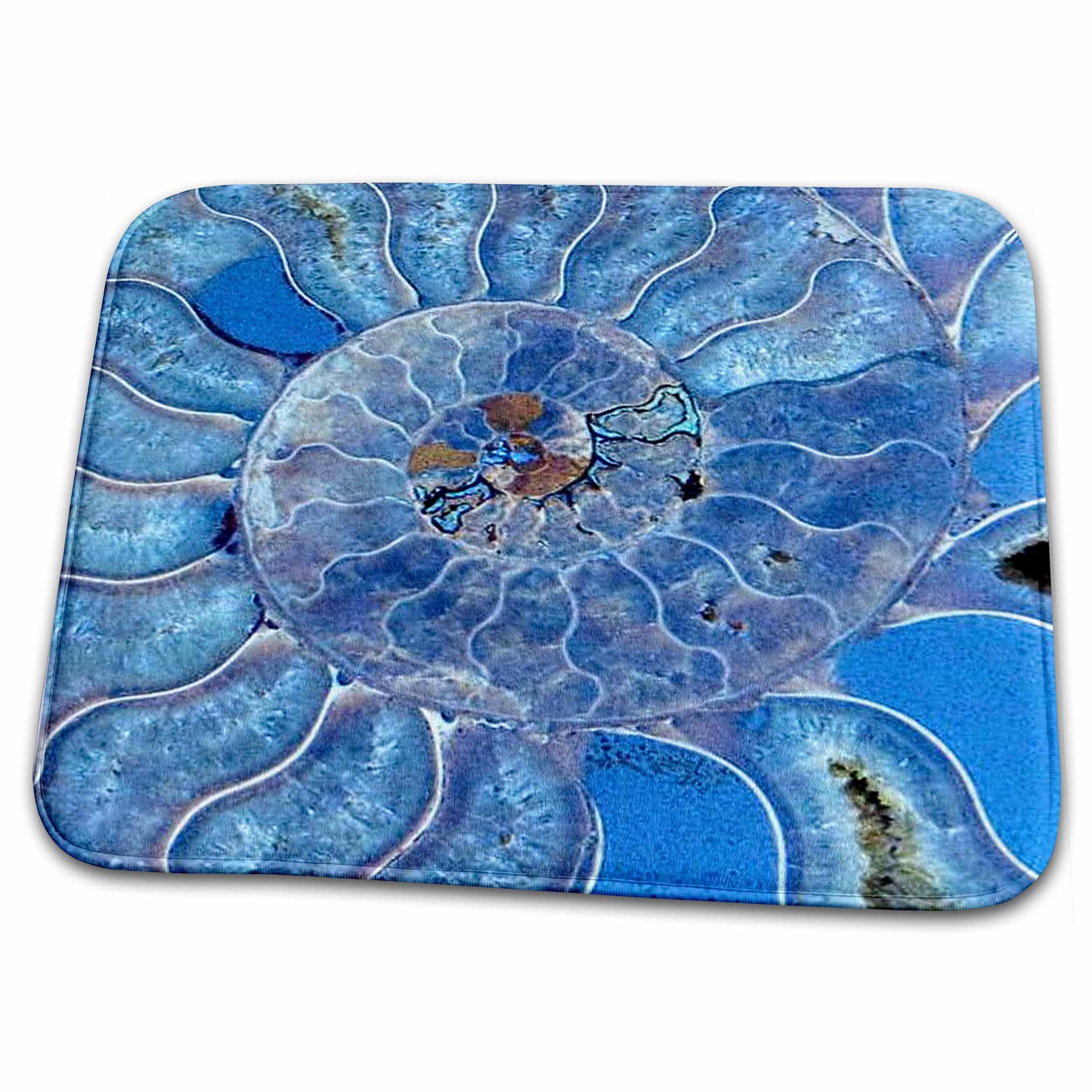 3dRose Bathroom Bath Rug Mat - Blue Seashell-Mother-of-Pearl Closeup Pattern