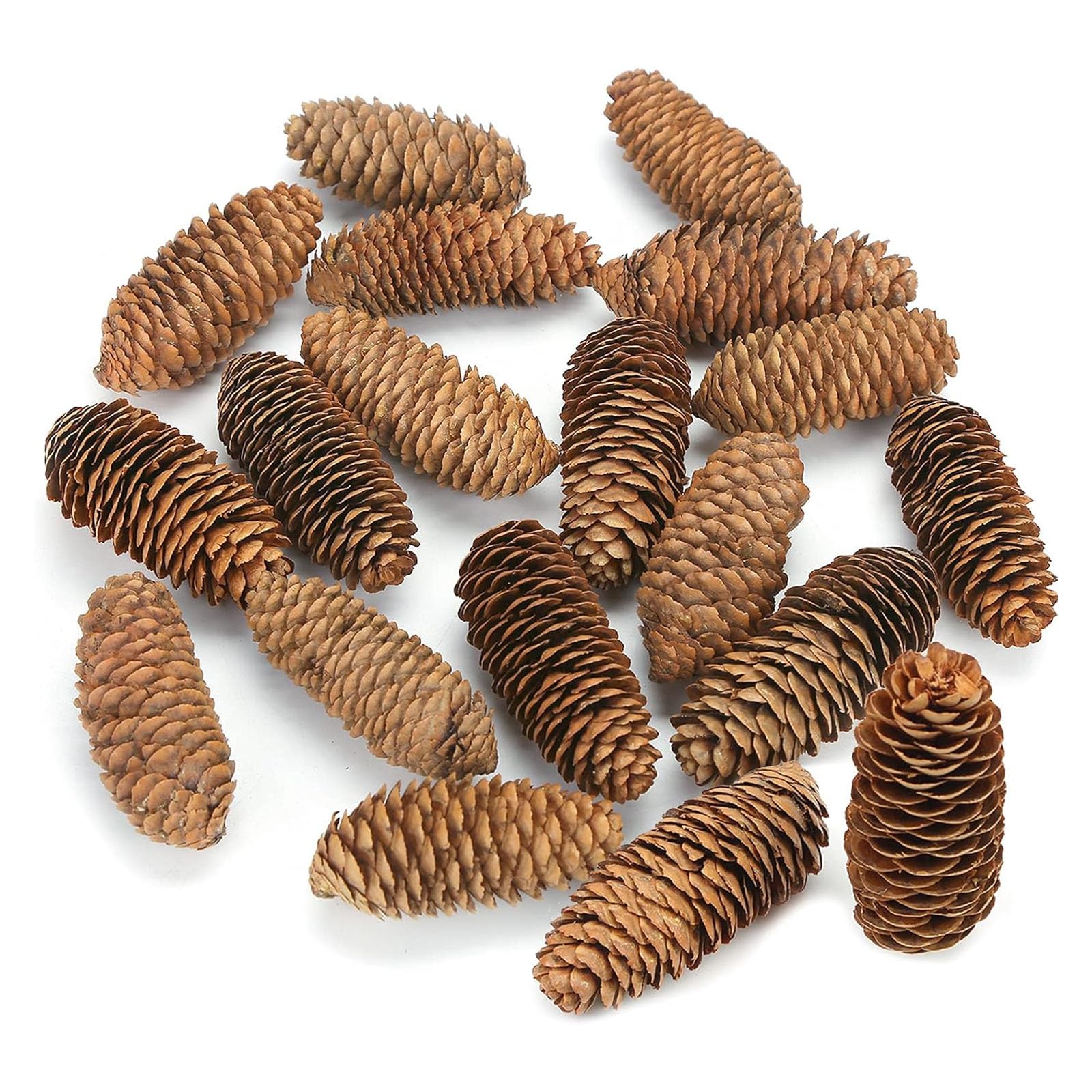 JOHOUSE 3.5-5Inch Natural Pine Cones, Big Pinecones, Christmas Natural Pinecone Ornaments Big Spruce Pine Cones for Autumn and Winter Decor Christmas Decorations, Winter Vase Filler