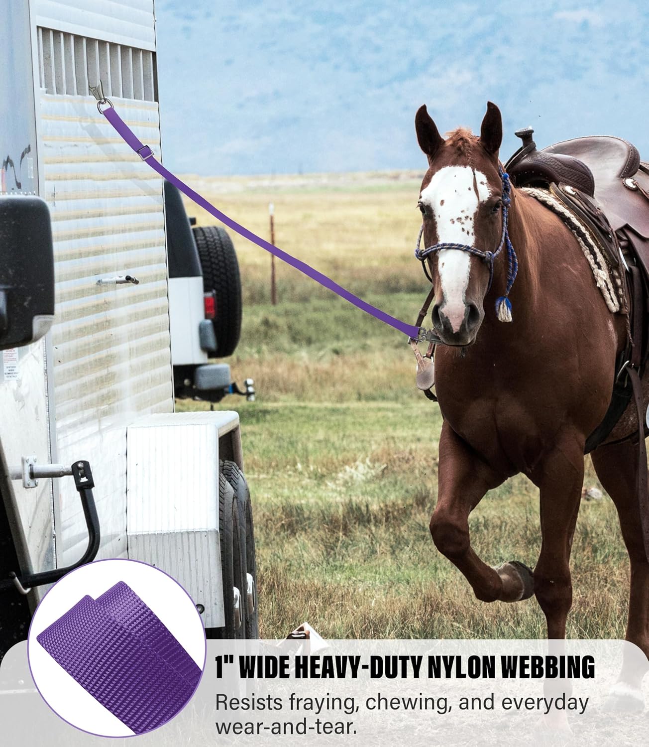Cross Ties for Horse, Nylon Trailer Tie w/Quick-Release Panic Snap & Bull Snap Horse Trailer Accessories, Adjustable Length Range 42.5" to 73", Equestrian Supplies, Regal Purple
