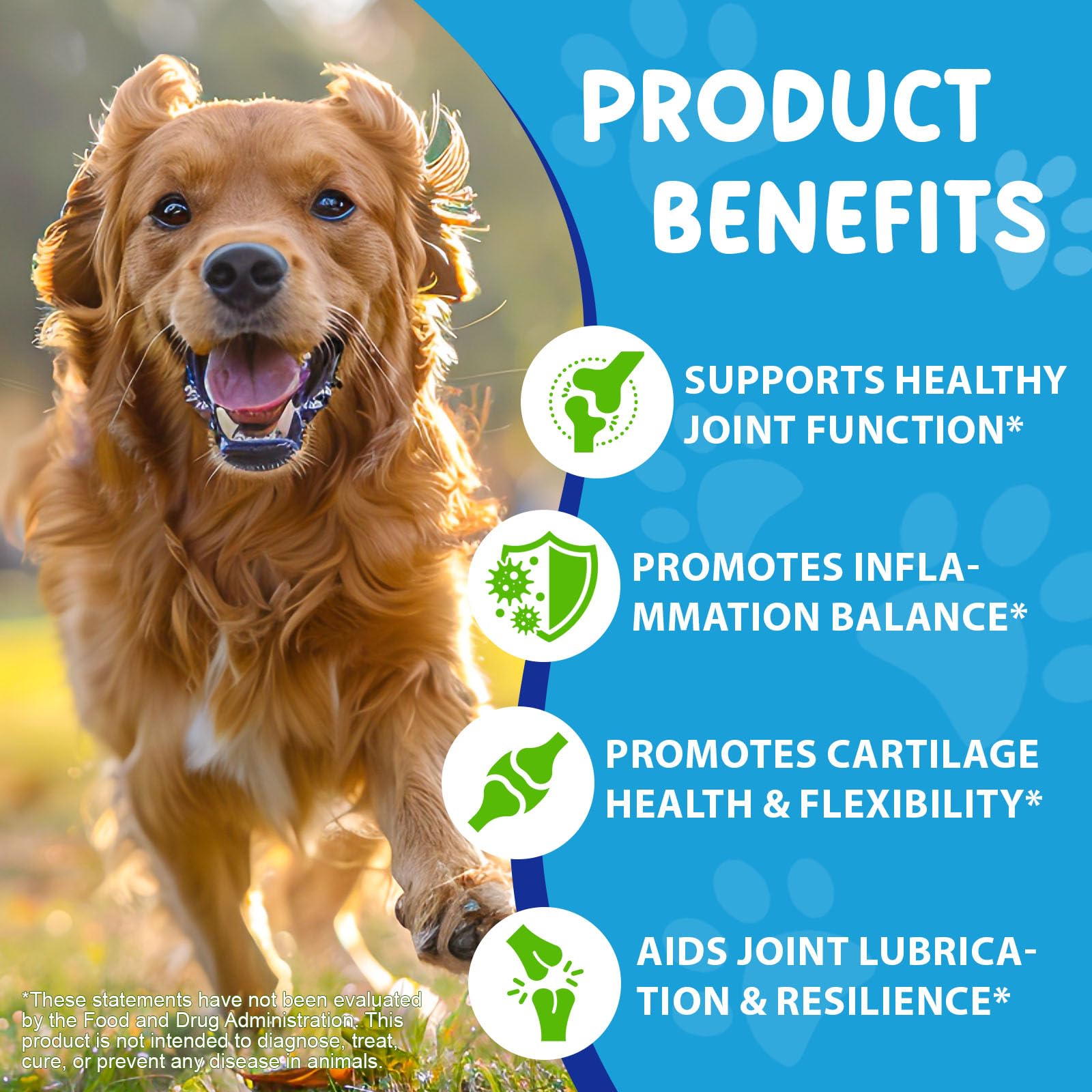 Hip & Joint Supplement for Dogs - 100% Natural Pain Relief & Mobility Support, Bacon Flavour, for Adult & Senior Dogs, 60ml - Image 3