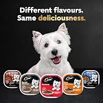 CESAR Accueil Plaisirs Nourriture pour chien humide - Poulet cuit lentement & Légumes Dîner à la sauce - 100g (24 Boîte)